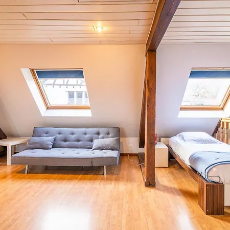 Aux Charmes D'alsace - Ideal Groupes Et Familles Tatil Evi