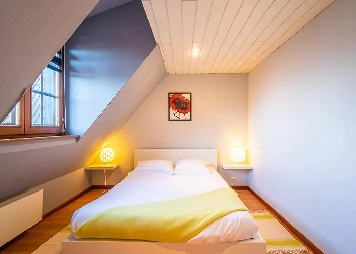 Tatil Evi Aux Charmes D'alsace - Ideal Groupes Et Familles